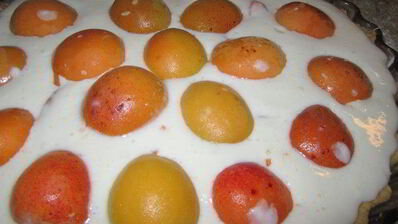 тарт абрикосовый кисленький