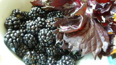 тарт с клубникой с розмарином и ежевикой с базиликом двойное удовольствие