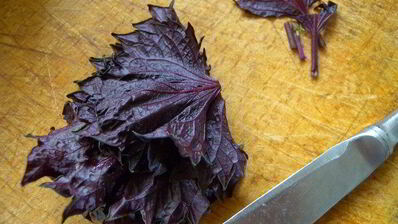 тарт с клубникой с розмарином и ежевикой с базиликом двойное удовольствие