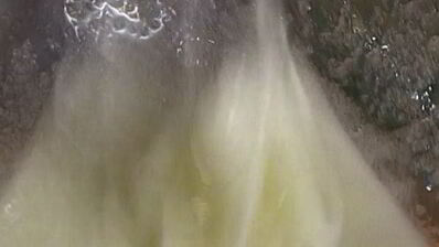 тарт с манго