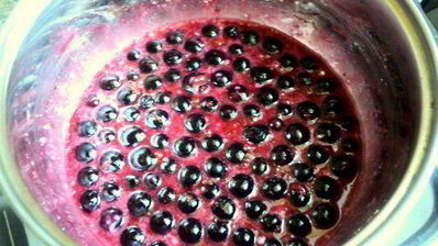 тарт со смородиной и творогом