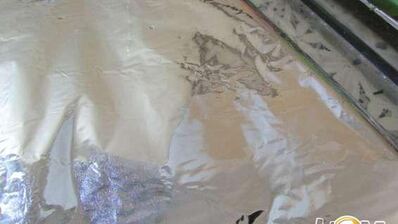 террин из курицы с фисташками и печенью