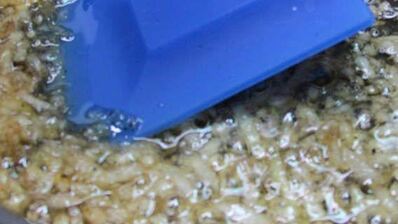 террин из курицы с фисташками и печенью