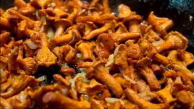 яичница с лисичками