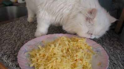 жюльен по-русски